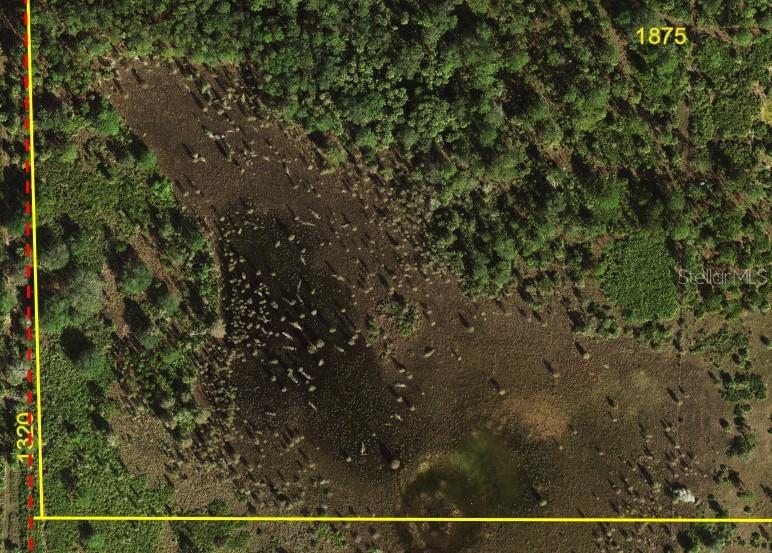 This aerial view shows a plot of land with dense vegetation and a central wetland — 5151 CHIQUITA DRIVE, PUNTA GORDA, FL