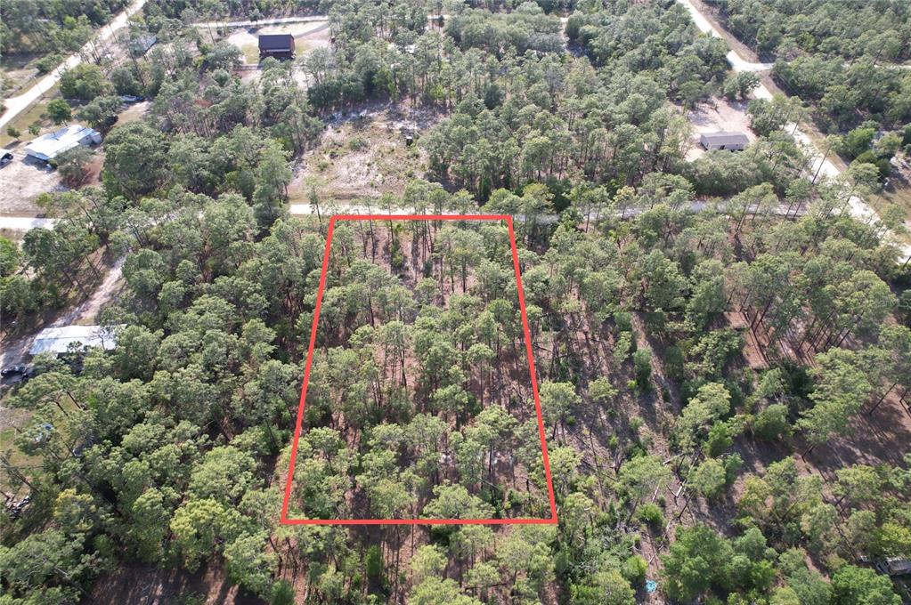 An aerial view shows a rectangular plot of land outlined in red amidst wooded terrain — 148TH COURT, MORRISTON, FL