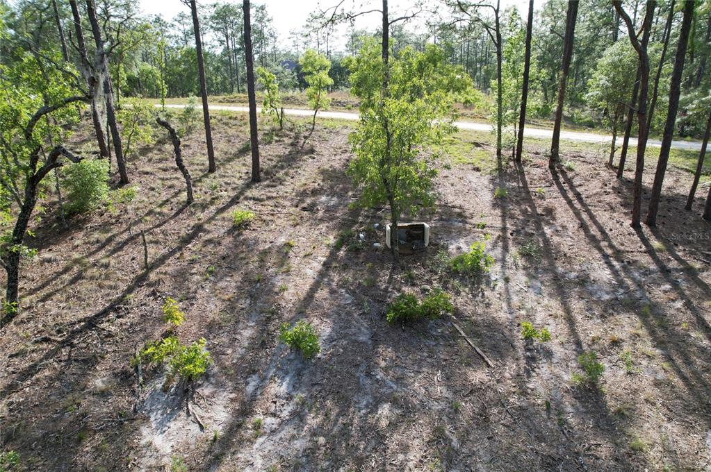 A wooded, undeveloped lot features scattered trees, sandy ground, and a small utility box — 148TH COURT, MORRISTON, FL