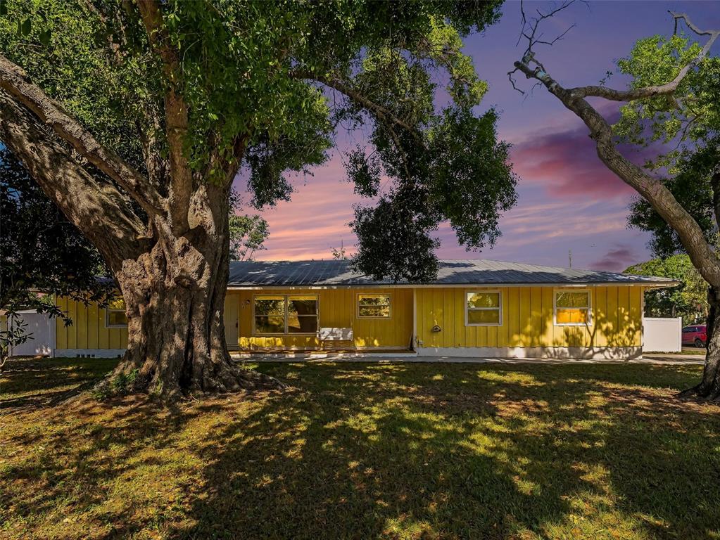A yellow single-story house with a metal roof sits behind a large, mature oak tree — 704 S LOCKWOOD RIDGE ROAD, SARASOTA, FL