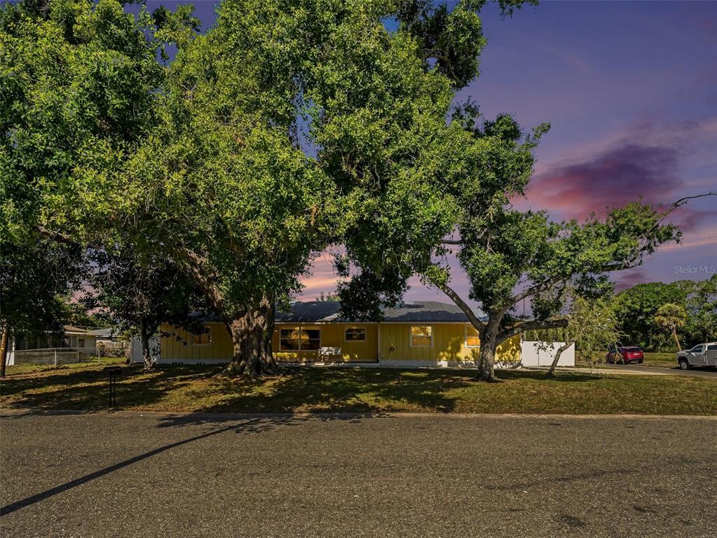 A yellow single-story house is partially obscured by two large trees in the front yard — 704 S LOCKWOOD RIDGE ROAD, SARASOTA, FL