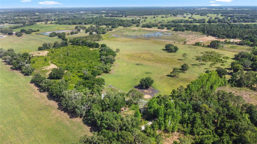 An aerial view shows a large rural property with open pastures, wooded areas, and wetlands — SE 51ST LANE, CENTER HILL, FL