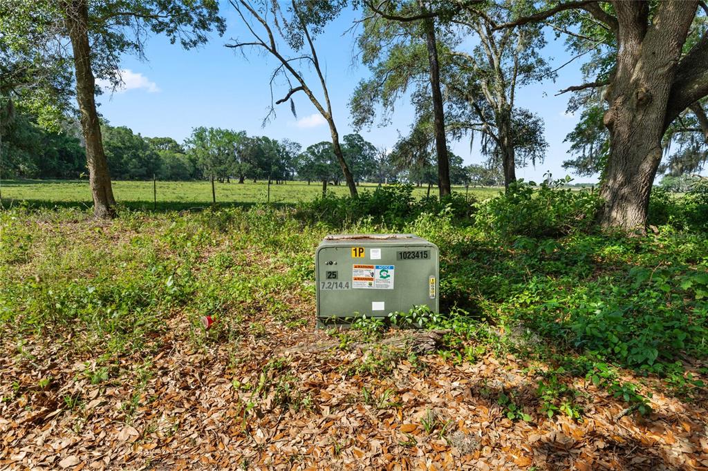 A green electrical transformer box sits in a grassy, wooded area — SE 51ST LANE, CENTER HILL, FL