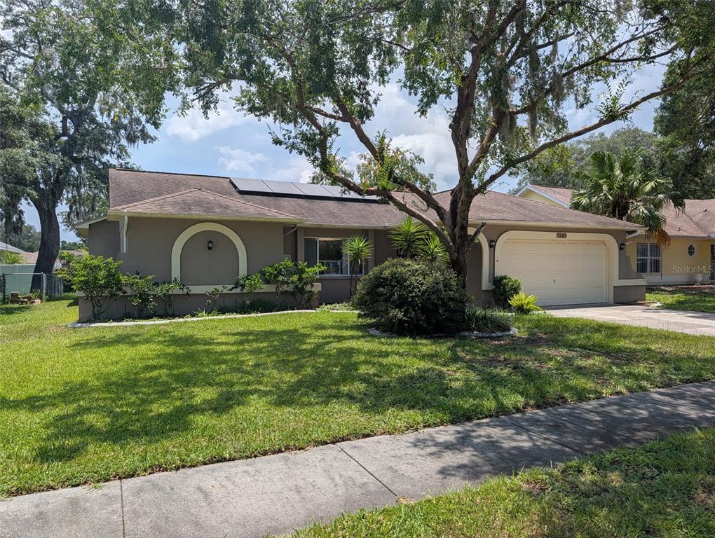 7242 ASHMORE DRIVE