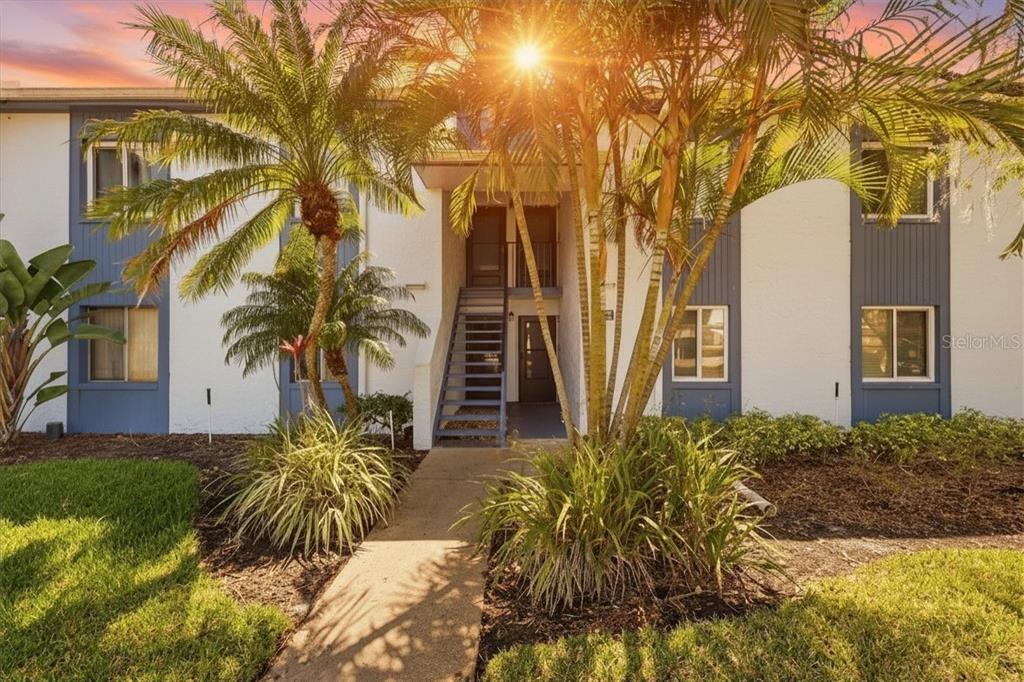 A two-story apartment building exterior features white stucco walls, blue trim, and palm trees — 240 CYPRESS LANE UNIT 240, OLDSMAR, FL