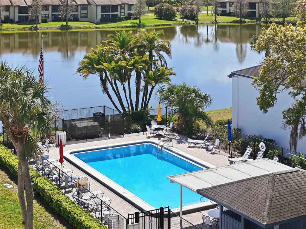 An elevated view of a rectangular swimming pool surrounded by lounge chairs and palm trees — 240 CYPRESS LANE UNIT 240, OLDSMAR, FL