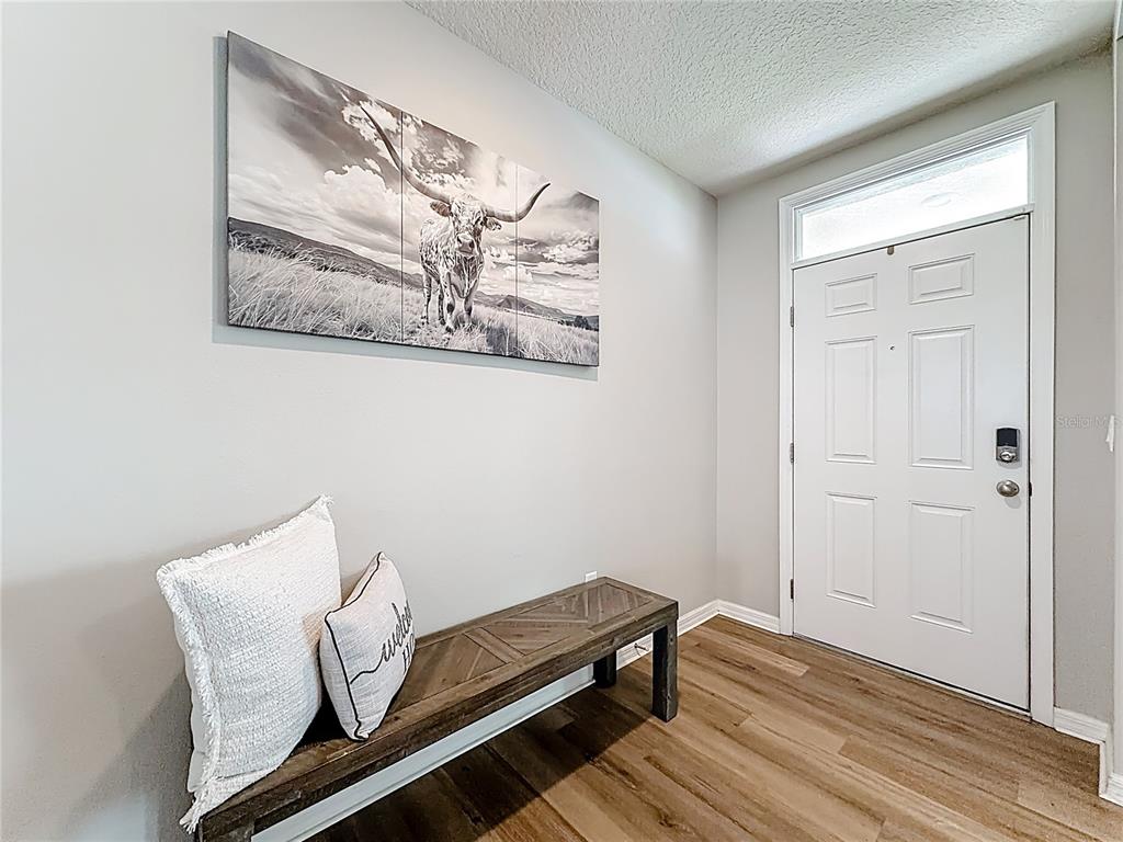 An entryway features wood-look flooring, a wooden bench with pillows, and a longhorn wall canvas — 3723 PARAGON LANE, CLERMONT, FL
