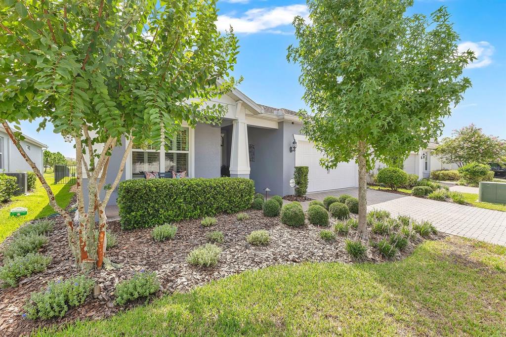 A single-story house with a gray exterior, a paved driveway, and landscaped front yard — 13917 DESTIN BEACH LANE, ORLANDO, FL