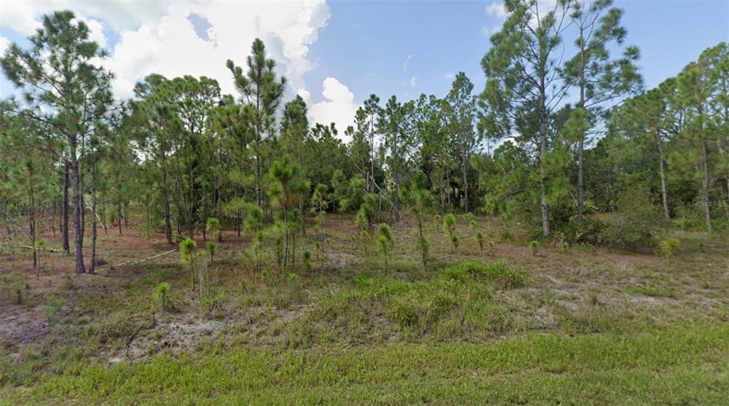 A vacant, wooded lot features scattered pine trees and native vegetation under a blue sky — 27117 BADGER DRIVE, PUNTA GORDA, FL