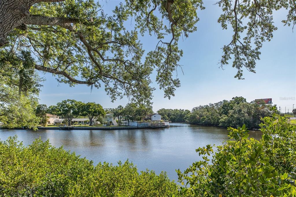 A view of a calm waterway lined with trees and houses under a clear sky — 9001 TUDOR DRIVE UNIT H210, TAMPA, FL