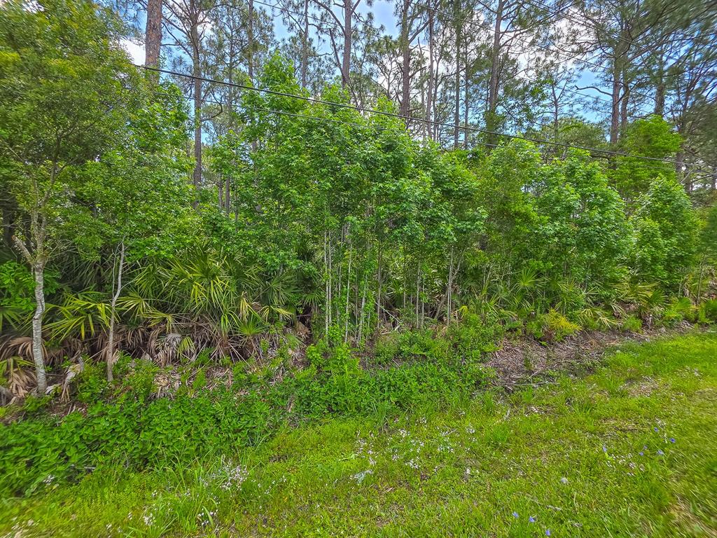 9152 U S HIGHWAY 1, ST AUGUSTINE, FL — photo 4 of 11