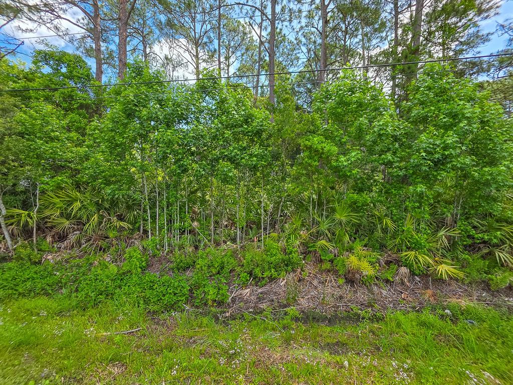 9152 U S HIGHWAY 1, ST AUGUSTINE, FL — photo 5 of 11