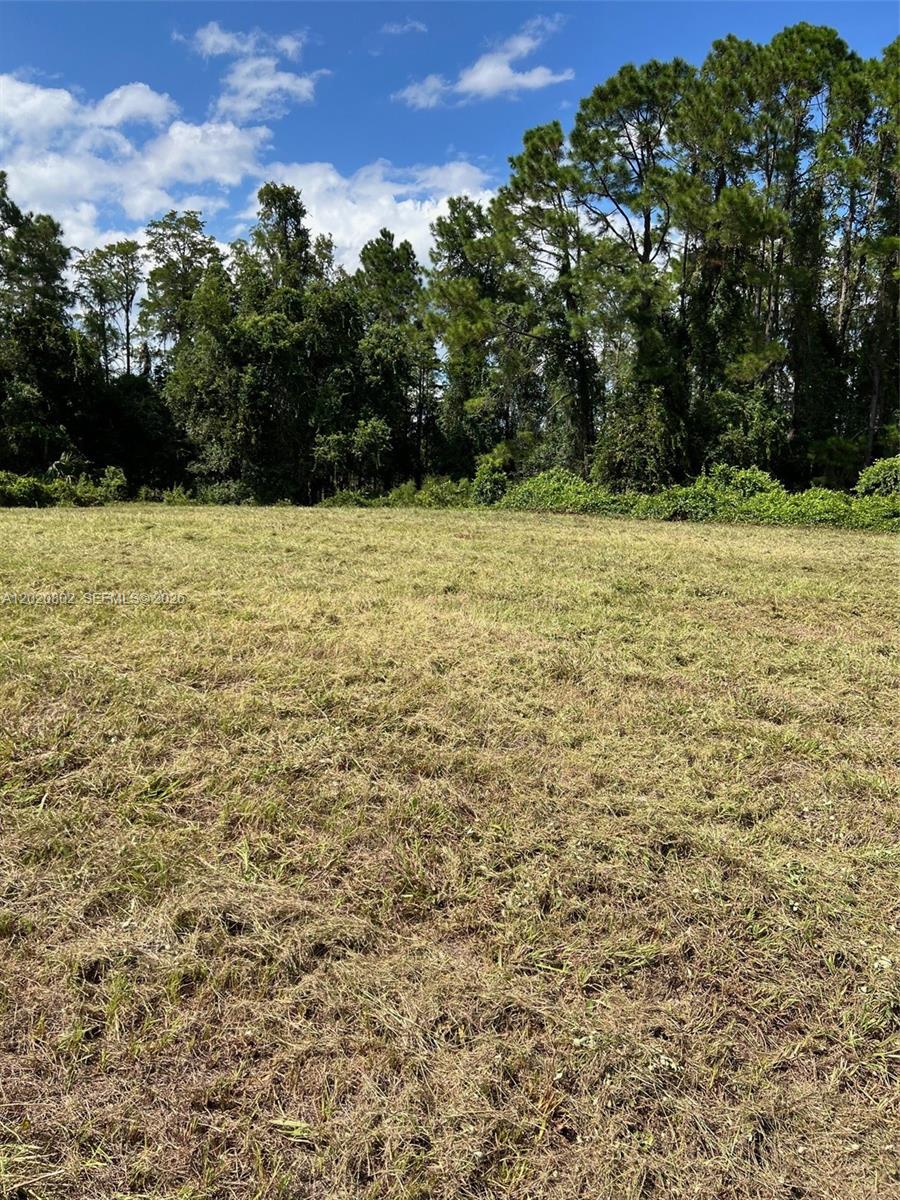 A flat, grassy field is bordered by a dense line of tall trees — Huntington Shortcut Rd, Cresent City FL 32112, CRESENT CITY, FL