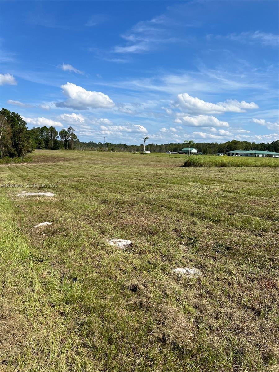 A large, flat, grassy field under a blue sky with scattered clouds — Huntington Shortcut Rd, Cresent City FL 32112, CRESENT CITY, FL