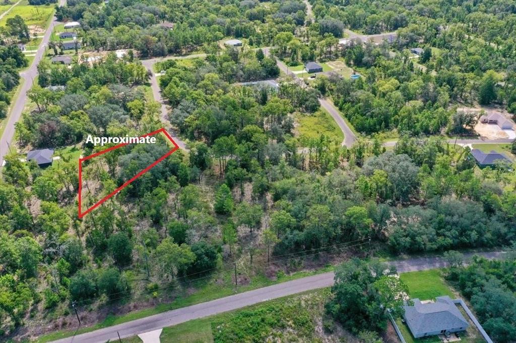 0024 GUAVA PASS DRIVE, OCKLAWAHA, FL — photo 4 of 24