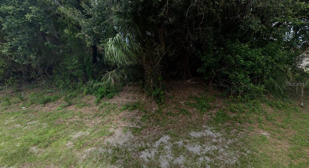 A densely wooded, undeveloped lot with patches of grass and various trees and shrubs — 2644 STARVIEW AVENUE, NORTH PORT, FL