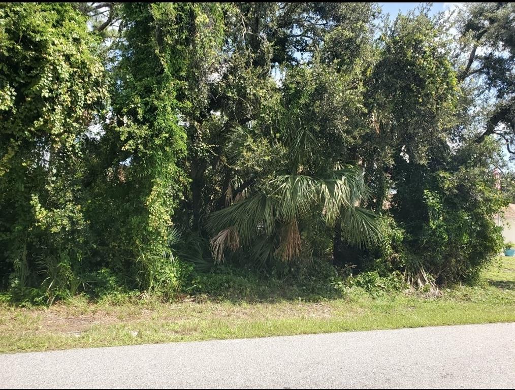 A dense, wooded lot with mature trees and palms sits adjacent to a paved road — 2644 STARVIEW AVENUE, NORTH PORT, FL