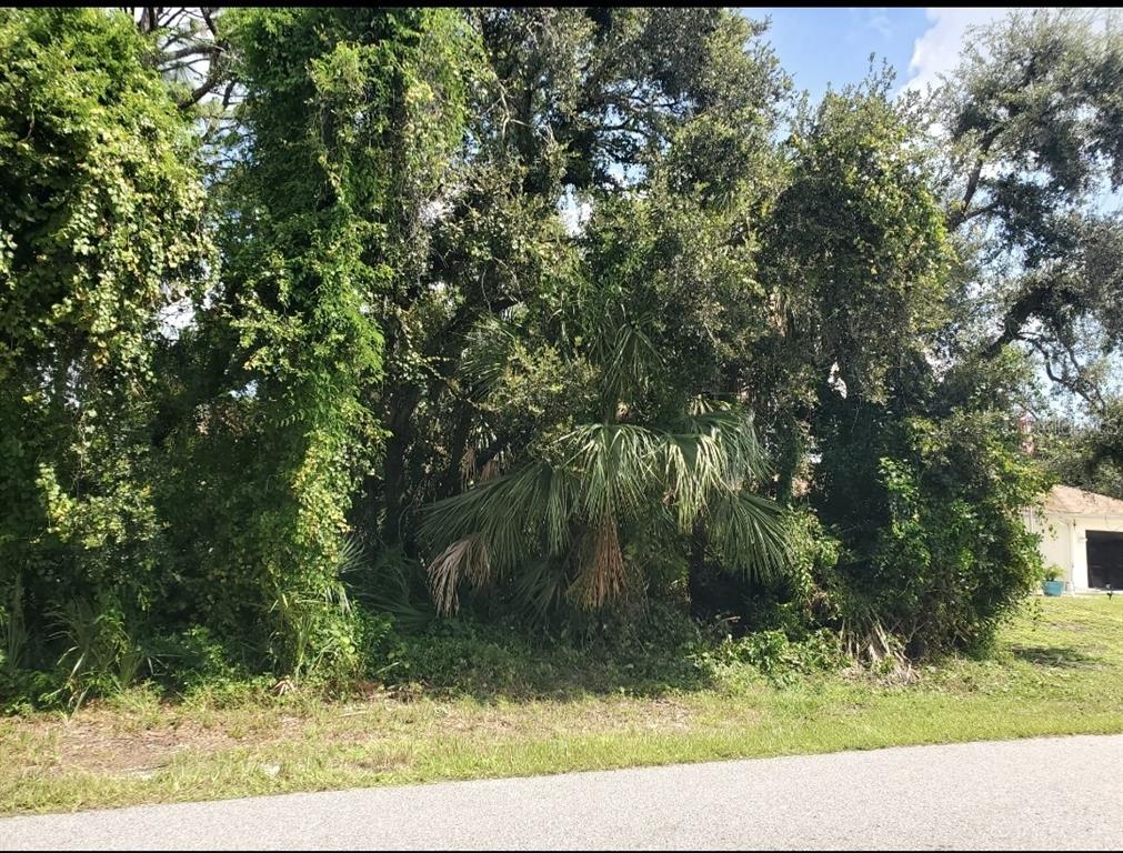 A dense cluster of trees and a palm tree grow on a vacant residential lot — 2644 STARVIEW AVENUE, NORTH PORT, FL