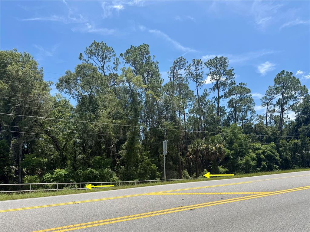 A paved road runs alongside a wooded lot marked by yellow arrows on a fence — LOT 13 STATE ROAD 44, EUSTIS, FL
