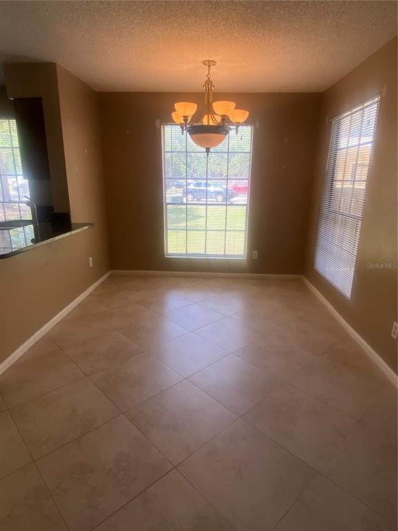 A dining area features tan tile floors, a central chandelier, and two windows with blinds — 8724 MALLARD RESERVE DRIVE UNIT 102, TAMPA, FL