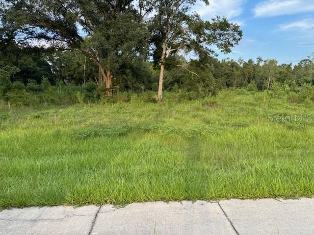 A vacant, grassy residential lot features several mature trees under a blue sky — SW 4TH AVE., CHIEFLAND, FL