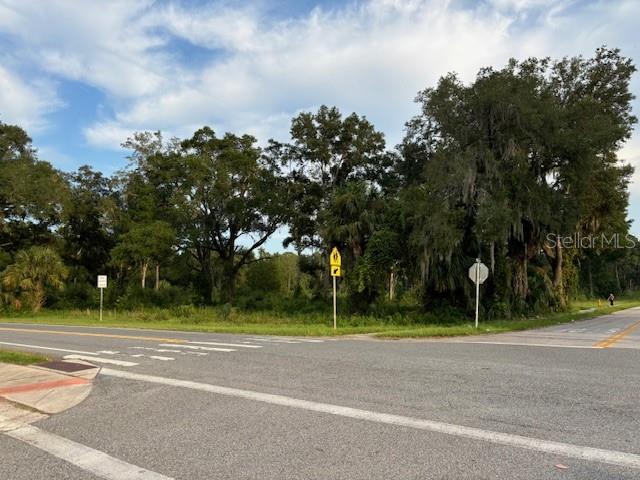 A vacant, tree-lined lot sits at a paved road intersection with a crosswalk and signs — SW 4TH AVE., CHIEFLAND, FL