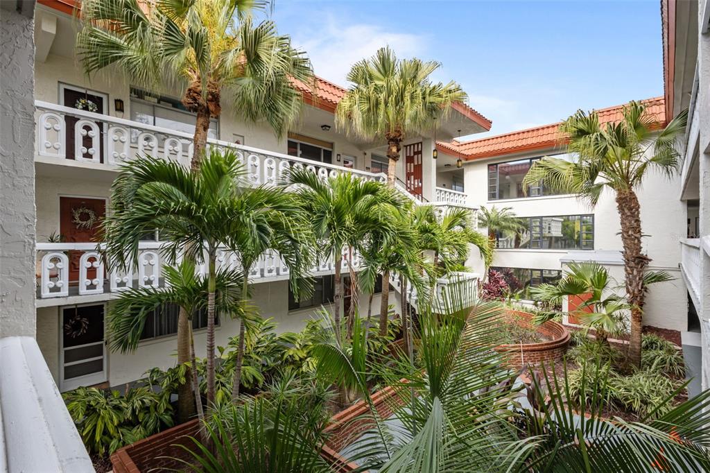 An exterior view of a multi-story apartment complex courtyard featuring palm trees and balconies — 1009 PEARCE DRIVE UNIT 206, CLEARWATER, FL