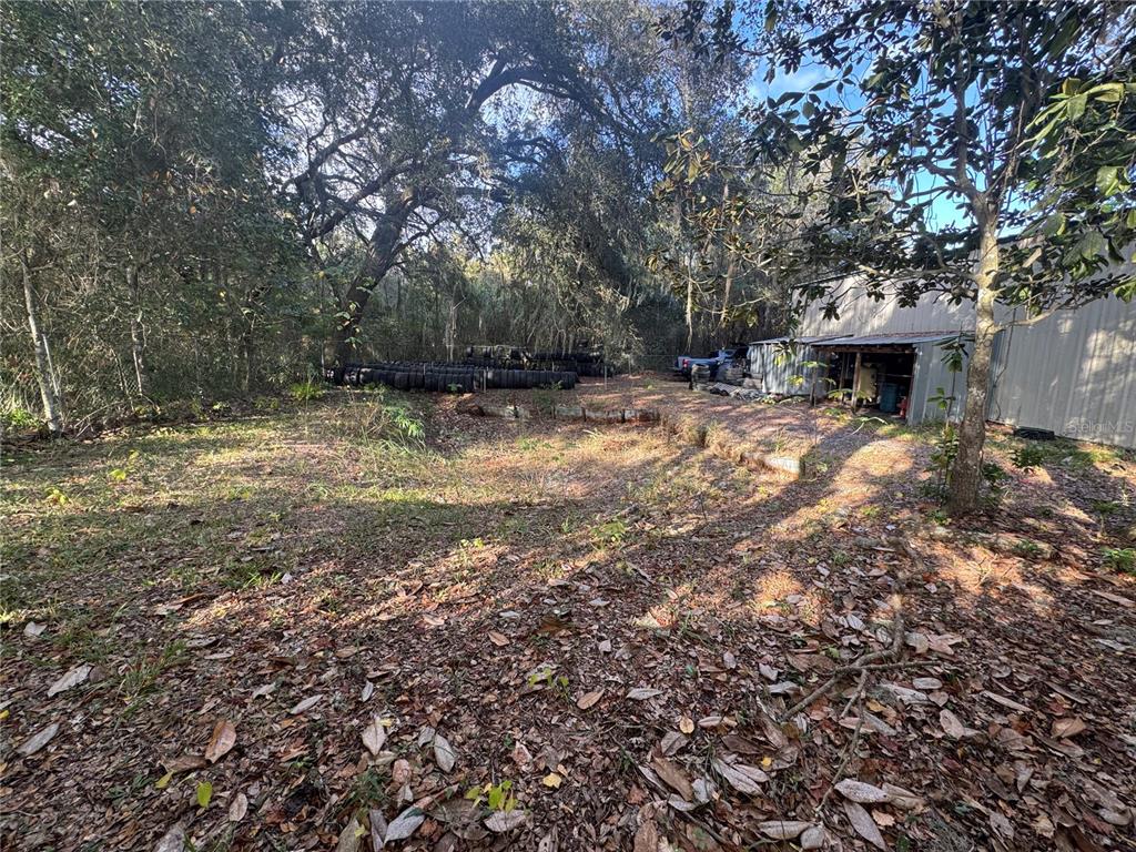 A wooded lot features a metal storage building and a large pile of discarded tires — 15050 NE US HIGHWAY 301, WALDO, FL
