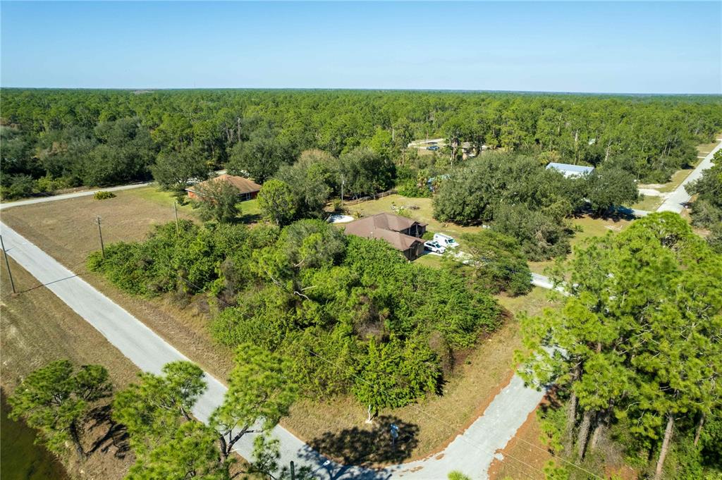 4407 E 20TH STREET, ALVA, FL — photo 5 of 21
