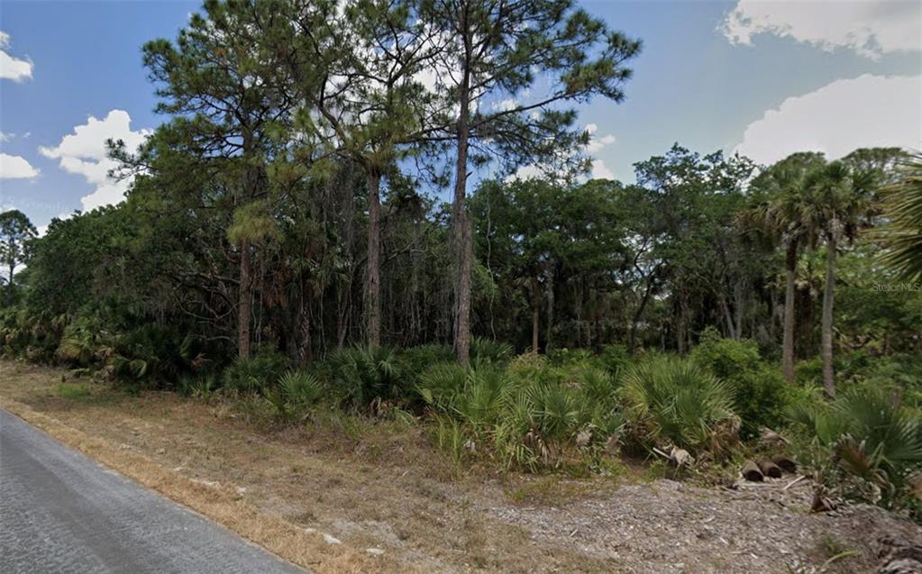 A view of a wooded, undeveloped lot with pine trees and palmettos along a road — 328 MYERS STREET, PORT CHARLOTTE, FL
