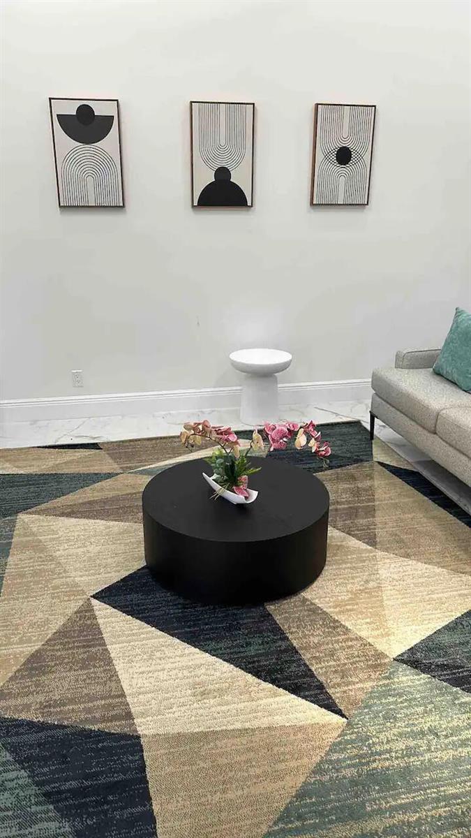 A living room features a geometric area rug, a black circular coffee table, and wall art — 1255 Periwinkle Place, Wellington FL 33414, WELLINGTON, FL