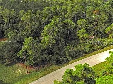An aerial view shows a paved road bordering a dense, wooded lot — 27369 N TWIN LAKES DRIVE, PUNTA GORDA, FL