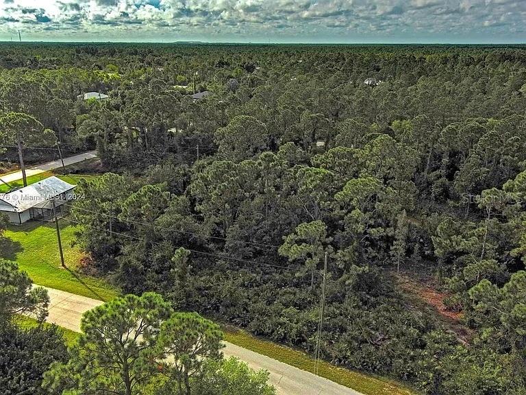 An aerial view shows a paved road bordering a wooded lot with a small house — 27369 N TWIN LAKES DRIVE, PUNTA GORDA, FL