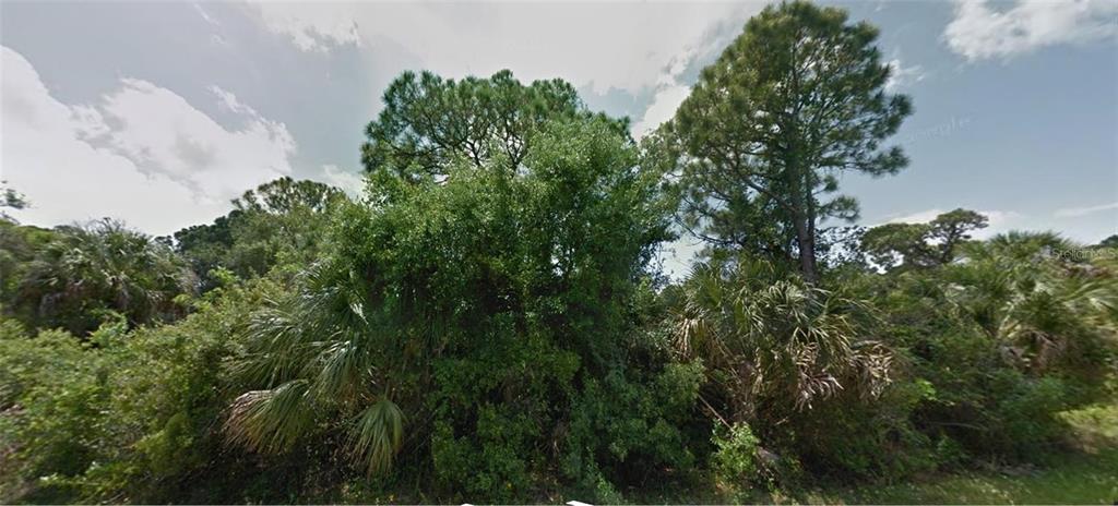A dense, wooded lot features tall pine trees and various shrubs under a cloudy sky — 1228 CASPER STREET, PORT CHARLOTTE, FL