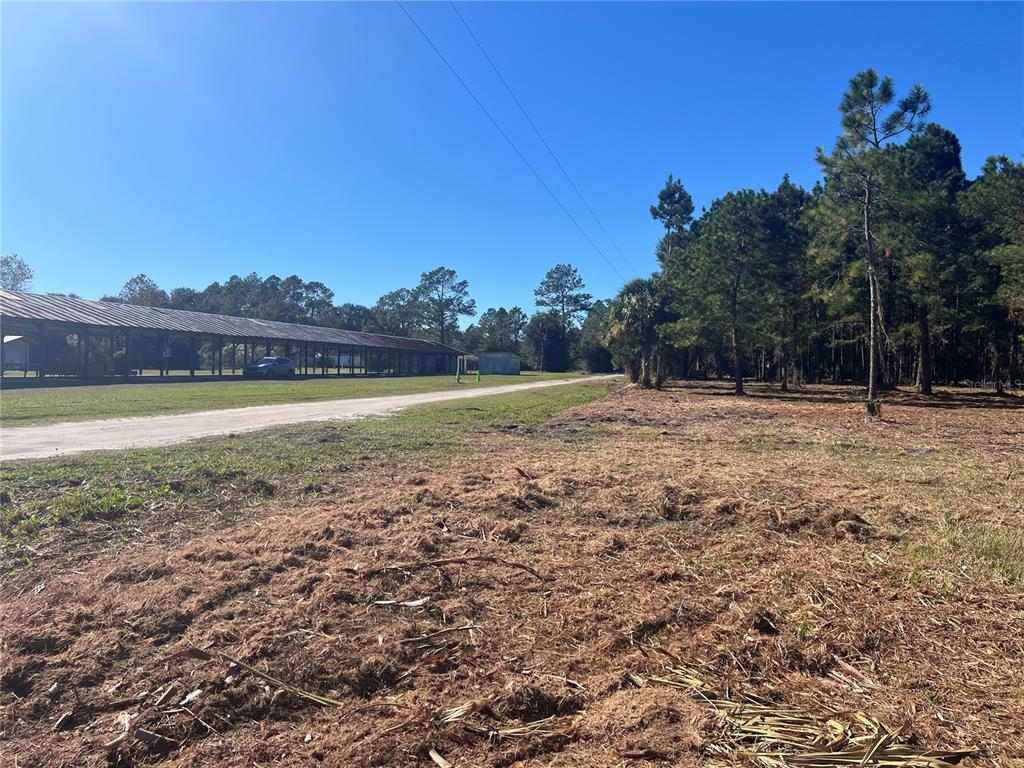 17802 US-301, WALDO, FL — photo 4 of 17