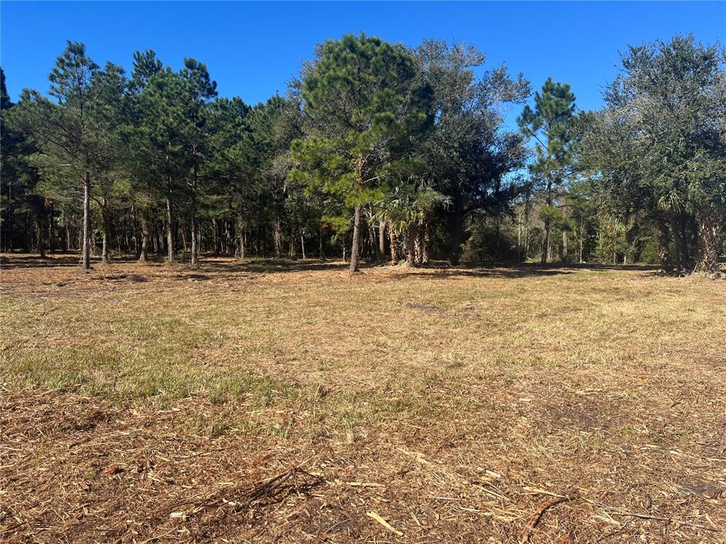 17802 US-301, WALDO, FL — photo 5 of 17
