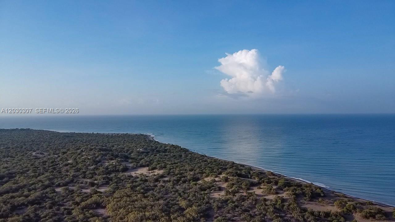 An aerial view shows a dense, green coastal forest meeting a sandy beach and ocean — Hwy 510, NA, NA