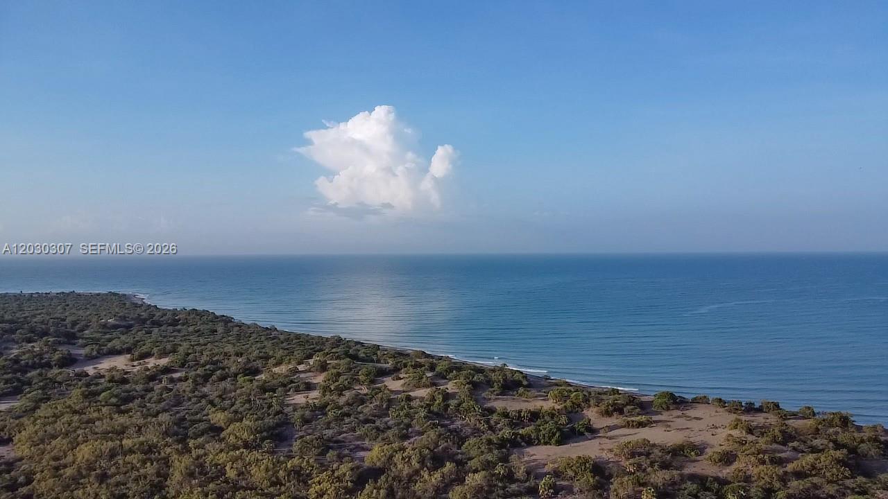 An aerial view shows a sandy coastline with dense vegetation meeting the ocean — Hwy 510, NA, NA