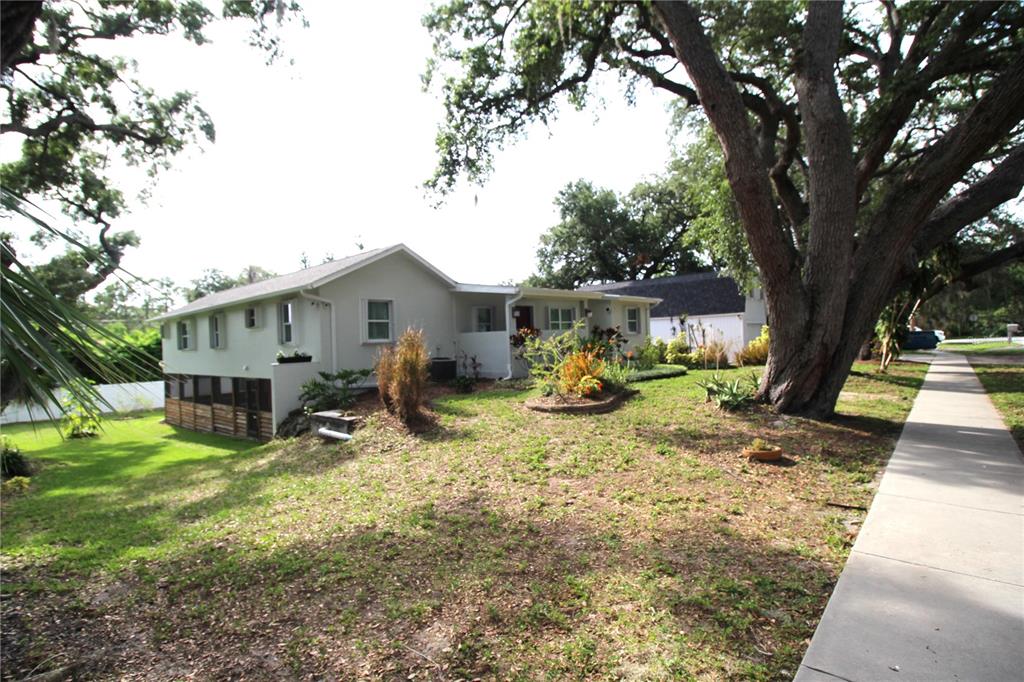 A side view of a light-colored house with a screened porch and large oak trees — 2436 NAVAREZ AVENUE, SAFETY HARBOR, FL