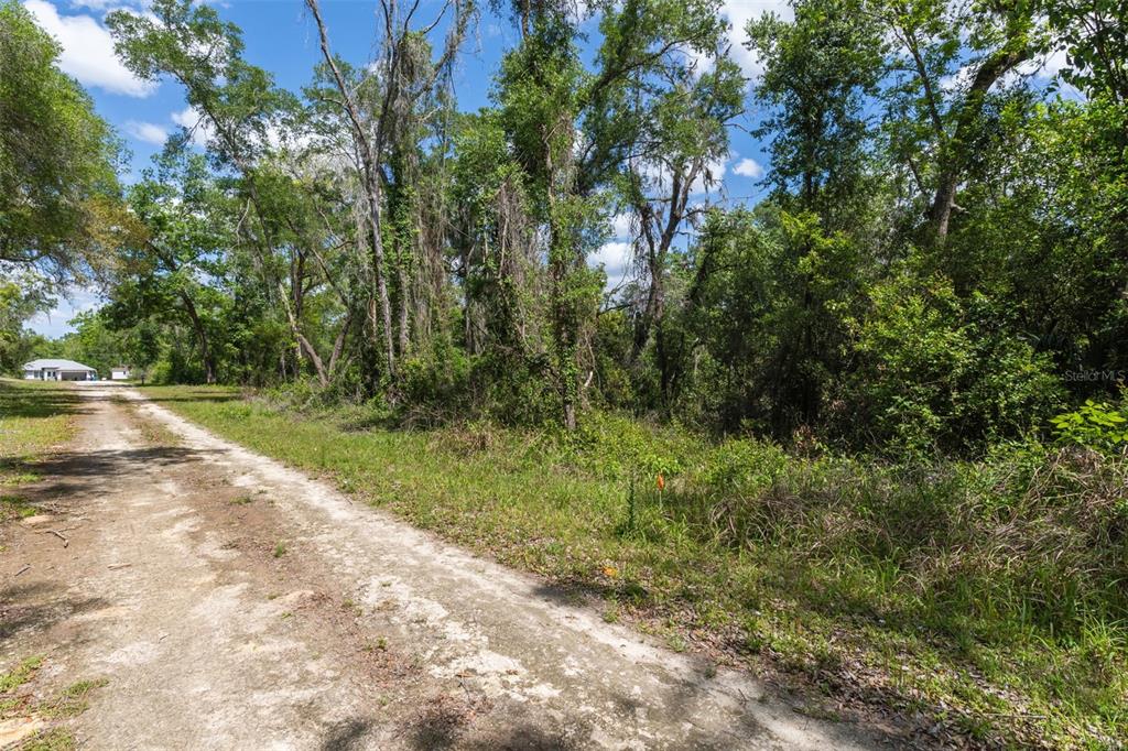 0 KENYON DRIVE, WEBSTER, FL — photo 2 of 13