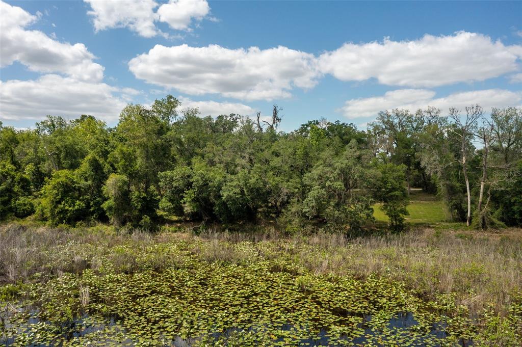 0 KENYON DRIVE, WEBSTER, FL — photo 4 of 13