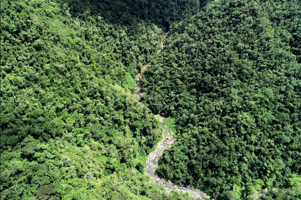 An aerial view shows a narrow, rocky stream winding through a dense, green tropical forest — Carr.140 BO MAMEYES ABAJO, UTUADO, PR