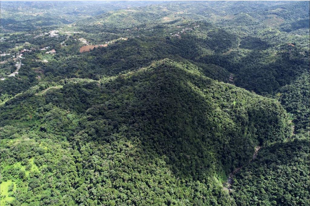 An aerial view of a dense, forested mountain landscape with a small residential area nearby — Carr.140 BO MAMEYES ABAJO, UTUADO, PR