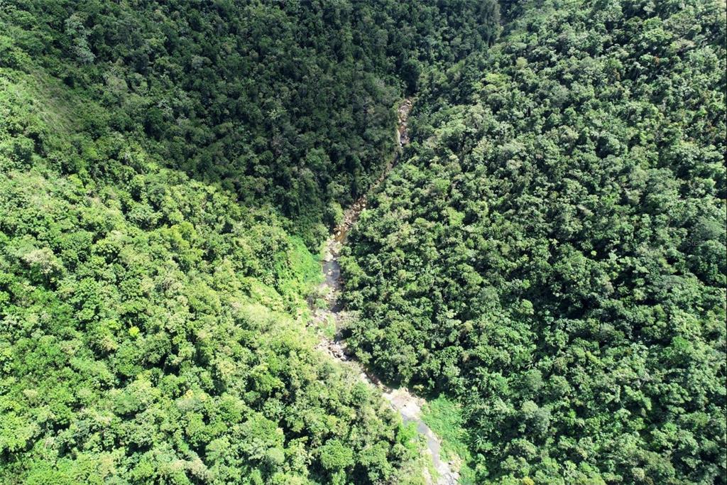 An aerial view shows a narrow, rocky stream flowing through a dense, green tropical forest — Carr.140 BO MAMEYES ABAJO, UTUADO, PR