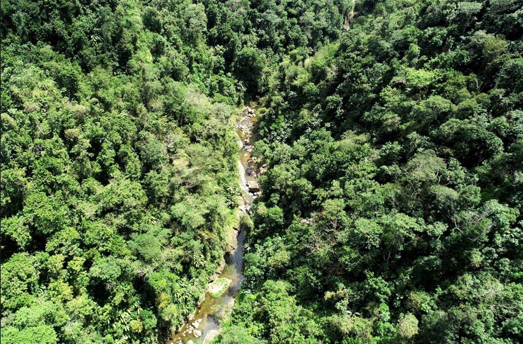 An aerial view of a narrow stream flowing through a dense, green tropical forest — Carr.140 BO MAMEYES ABAJO, UTUADO, PR