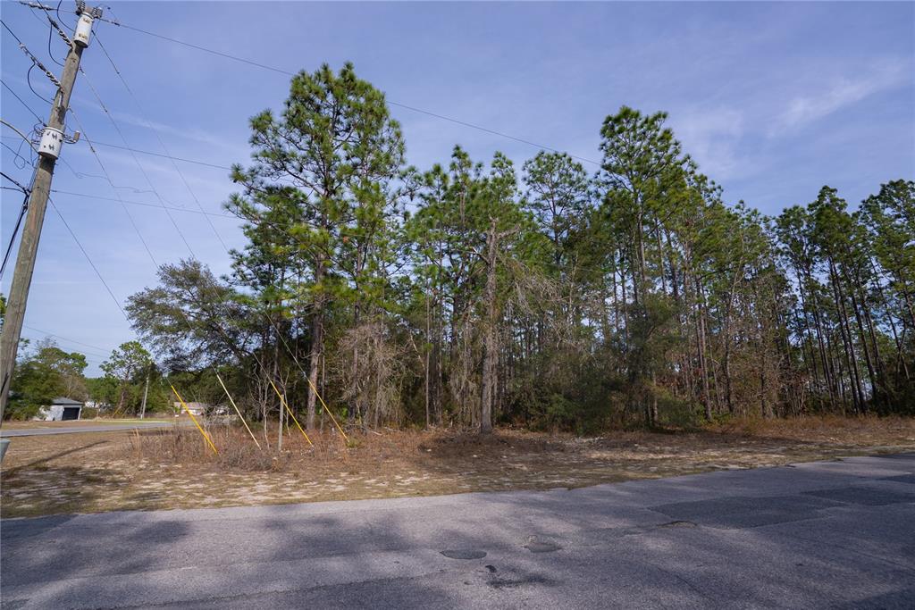 A vacant, wooded lot sits adjacent to a paved road under a clear blue sky — 7391 N CRICKET DRIVE, CITRUS SPRINGS, FL