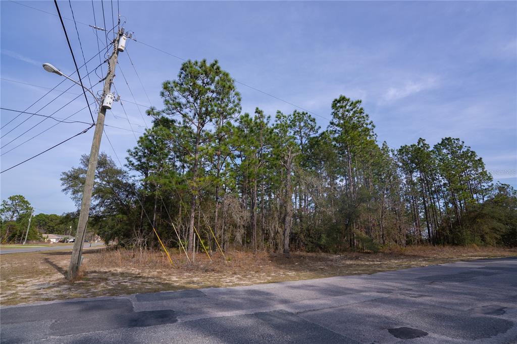 A vacant, wooded lot sits at the corner of a paved residential street — 7391 N CRICKET DRIVE, CITRUS SPRINGS, FL
