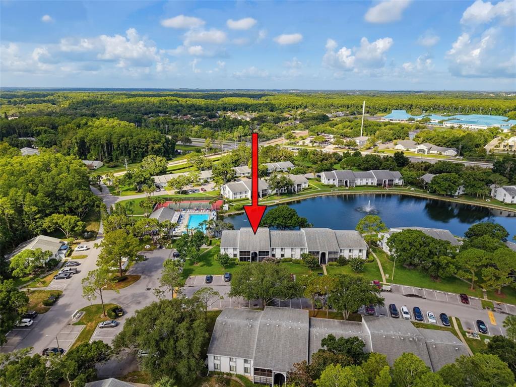 An aerial view shows a multi-story apartment building next to a lake and pool — 1261 PINE RIDGE CIRCLE W UNIT D1, TARPON SPRINGS, FL