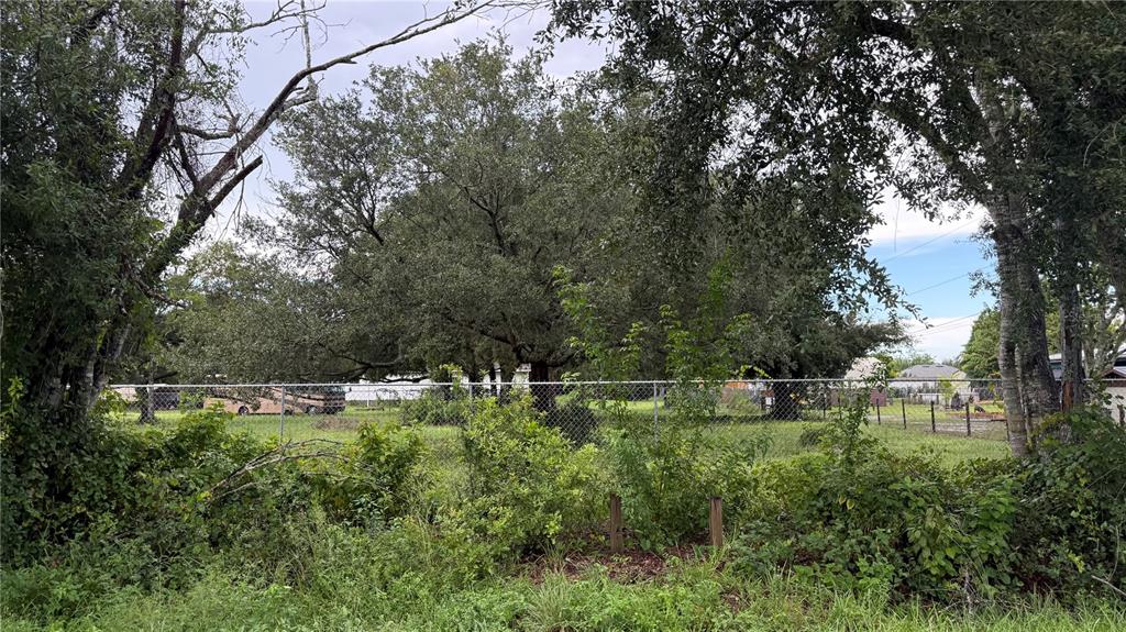 A chain-link fence separates a grassy, tree-filled lot from a neighboring property — 5585 LAKE LIZZIE DRIVE, ST CLOUD, FL