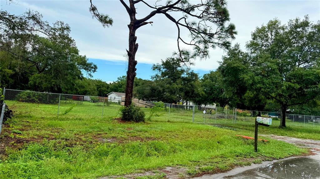 A grassy, fenced-in vacant lot features a large tree and a mailbox near the road — 5585 LAKE LIZZIE DRIVE, ST CLOUD, FL